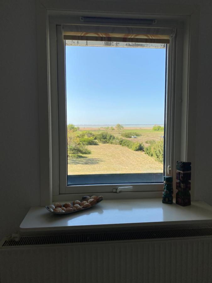 Freistehendes Einfamilienhaus Mit Boddenblick Naehe Ostsee Fuhlendorf  Exteriör bild