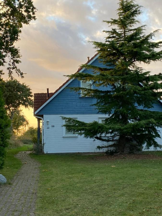 Freistehendes Einfamilienhaus Mit Boddenblick Naehe Ostsee Fuhlendorf  Exteriör bild
